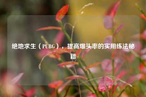 绝地求生(PUBG),提高爆头率的实用练法秘籍