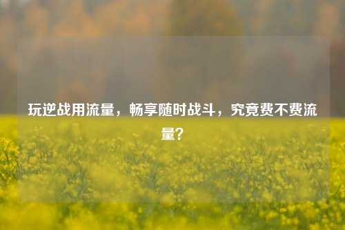 玩逆战用流量，畅享随时战斗，究竟费不费流量？