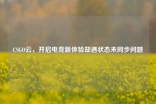 CSGO云,开启电竞新体验却遇状态未同步问题