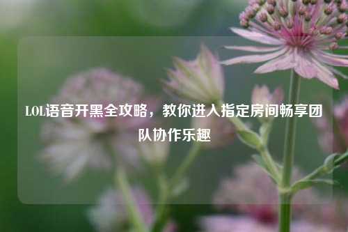 LOL语音开黑全攻略，教你进入指定房间畅享团队协作乐趣
