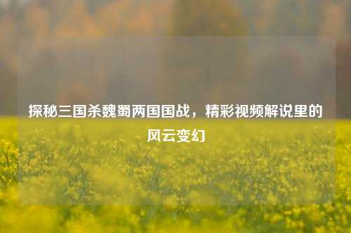 探秘三国杀魏蜀两国国战，精彩视频解说里的风云变幻
