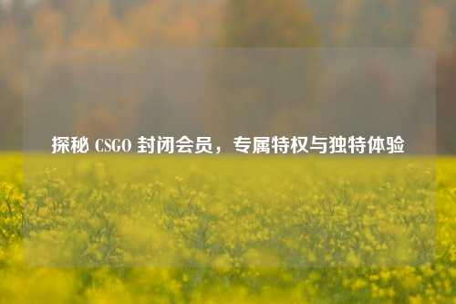 探秘 CSGO 封闭会员,专属特权与独特体验