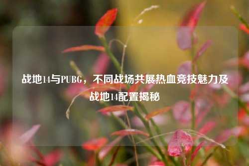 战地14与PUBG，不同战场共展热血竞技魅力及战地14配置揭秘