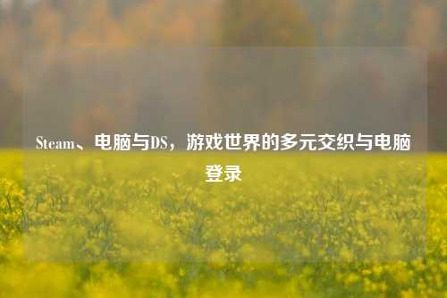 Steam、电脑与DS，游戏世界的多元交织与电脑登录