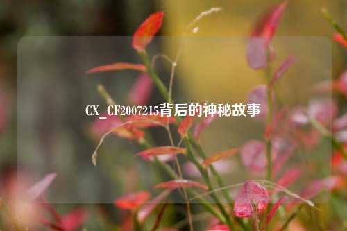 CX_CF2007215背后的神秘故事