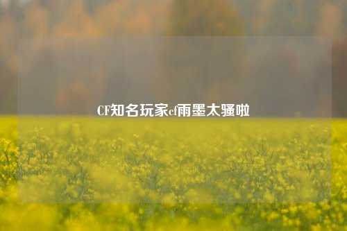 CF知名玩家cf雨墨太骚啦