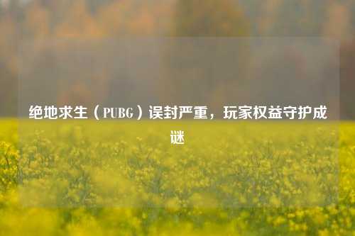 绝地求生（PUBG）误封严重，玩家权益守护成谜