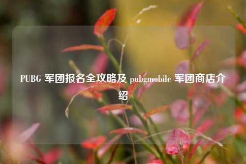 PUBG 军团报名全攻略及 pubgmobile 军团商店介绍