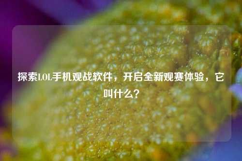 探索LOL手机观战软件，开启全新观赛体验，它叫什么？