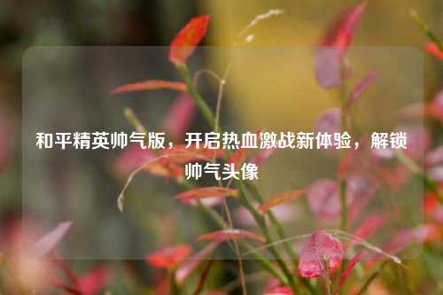 和平精英帅气版，开启热血激战新体验，解锁帅气头像
