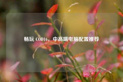畅玩 COD16，中高端电脑配置推荐