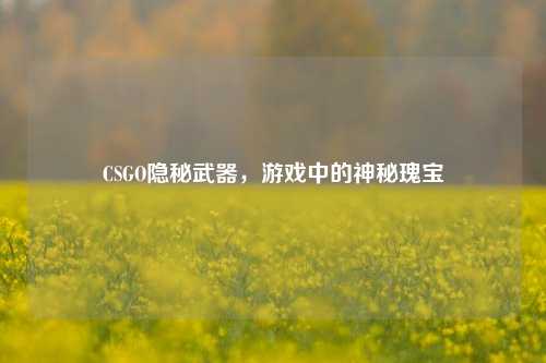 CSGO隐秘武器,游戏中的神秘瑰宝