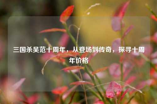三国杀吴范十周年,从登场到传奇,探寻十周年价格