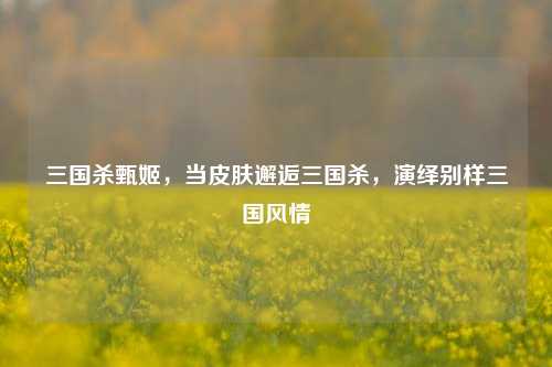 三国杀甄姬,当皮肤邂逅三国杀,演绎别样三国风情