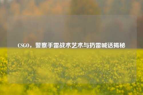 CSGO,警察手雷战术艺术与扔雷喊话揭秘
