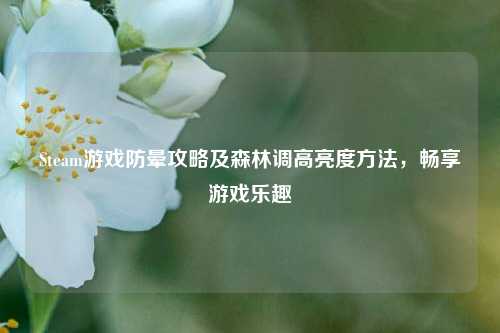 Steam游戏防晕攻略及森林调高亮度 *** ,畅享游戏乐趣
