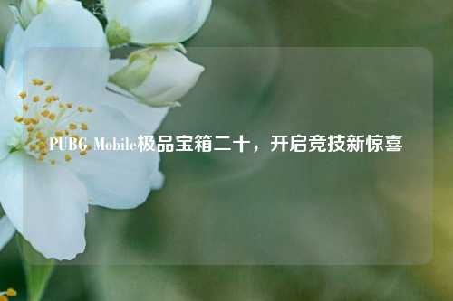 PUBG Mobile极品宝箱二十，开启竞技新惊喜