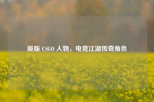 原版 CSGO 人物,电竞江湖传奇角色