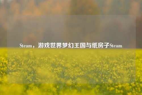 Steam，游戏世界梦幻王国与纸房子Steam
