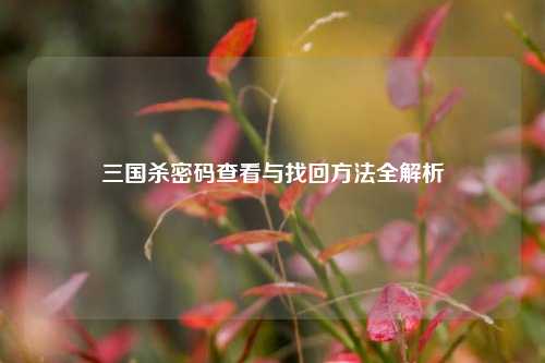 三国杀密码查看与找回 *** 全解析