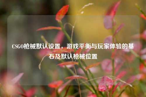 CSGO枪械默认设置，游戏平衡与玩家体验的基石及默认枪械位置