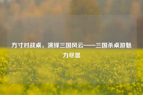 方寸对战桌，演绎三国风云——三国杀桌游魅力尽显