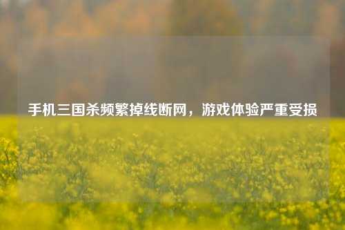 手机三国杀频繁掉线断网,游戏体验严重受损