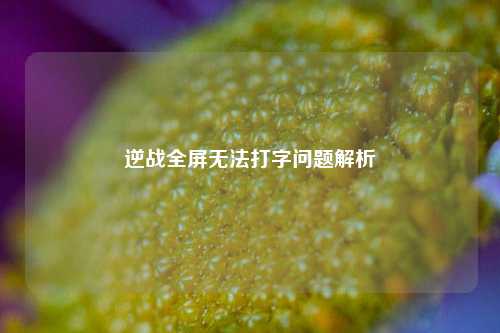 逆战全屏无法打字问题解析