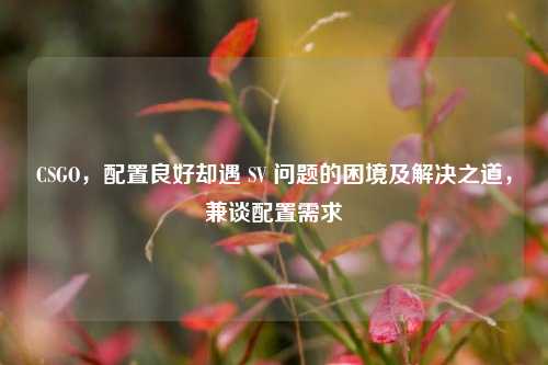 CSGO,配置良好却遇 SV 问题的困境及解决之道,兼谈配置需求
