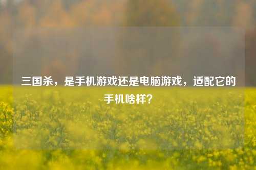 三国杀,是手机游戏还是电脑游戏,适配它的手机啥样?
