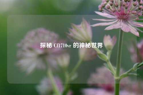 探秘 Cf1710vr 的神秘世界