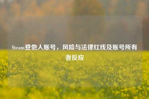 Steam登他人账号,风险与法律红线及账号所有者反应