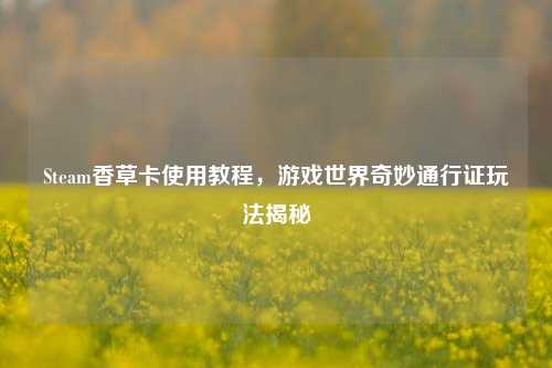Steam香草卡使用教程,游戏世界奇妙通行证玩法揭秘