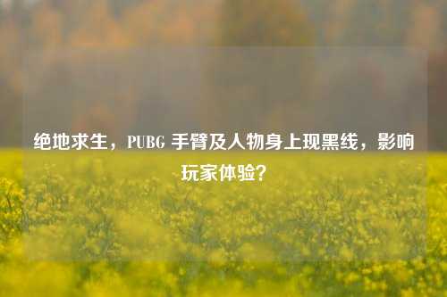 绝地求生,PUBG 手臂及人物身上现黑线,影响玩家体验?
