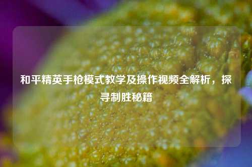 和平精英手***式教学及操作视频全解析，探寻制胜秘籍