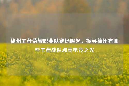 徐州王者荣耀职业队赛场崛起，探寻徐州有哪些王者战队点亮电竞之光