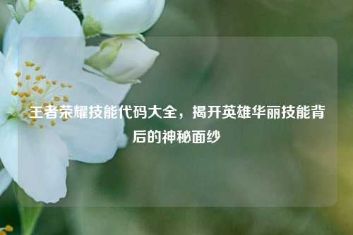 王者荣耀技能代码大全,揭开英雄华丽技能背后的神秘面纱
