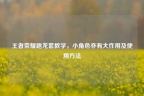 王者荣耀跑龙套教学，小角色亦有大作用及使用 *** 