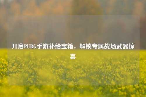 开启PUBG手游补给宝箱,解锁专属战场武器惊喜