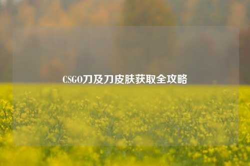 CSGO刀及刀皮肤获取全攻略