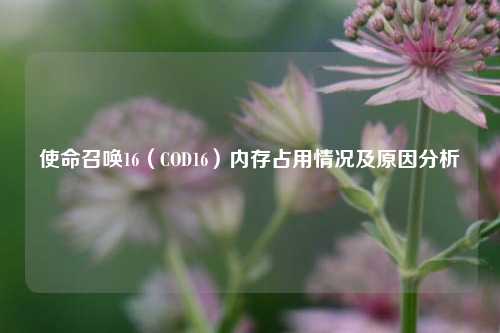 使命召唤16（COD16）内存占用情况及原因分析