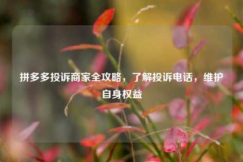 拼多多投诉商家全攻略，了解投诉 *** ，维护自身权益