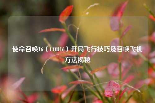 使命召唤16(COD16)开局飞行技巧及召唤飞机 *** 揭秘