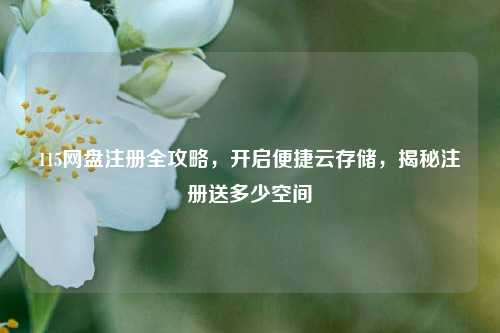 115网盘注册全攻略，开启便捷云存储，揭秘注册送多少空间