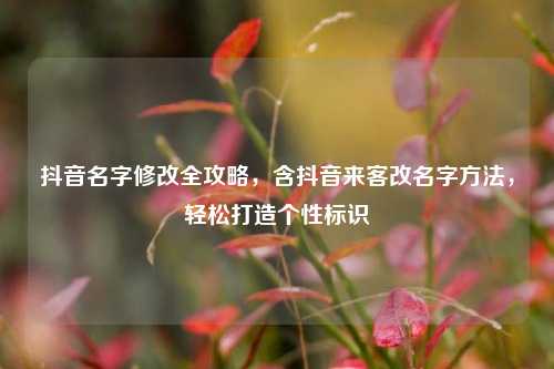 抖音名字修改全攻略，含抖音来客改名字 *** ，轻松打造个性标识