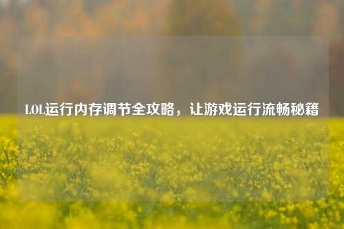 LOL运行内存调节全攻略,让游戏运行流畅秘籍