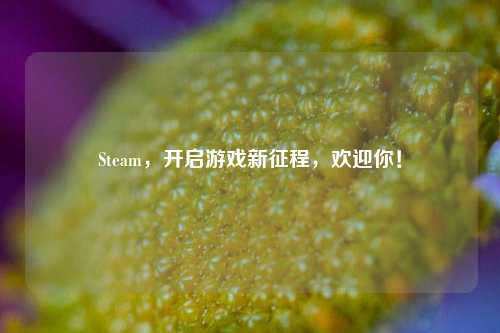 Steam，开启游戏新征程，欢迎你！