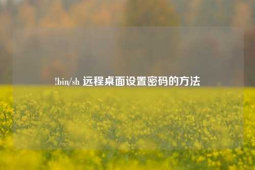 !bin/sh 远程桌面设置密码的 ***