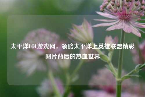 太平洋LOL游戏网，领略太平洋上英雄联盟精彩图片背后的热血世界