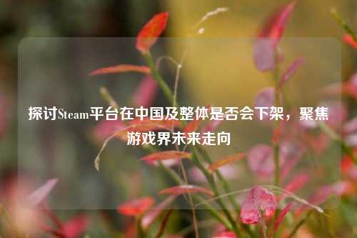 探讨Steam平台在中国及整体是否会下架,聚焦游戏界未来走向
